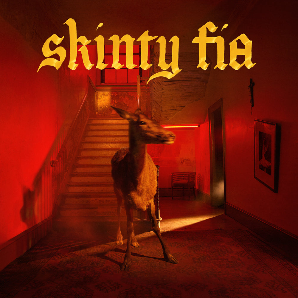 Skinty Fia CD