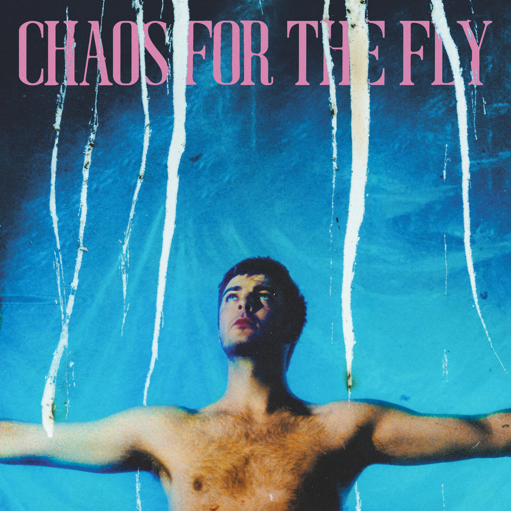 Chaos For The Fly LP