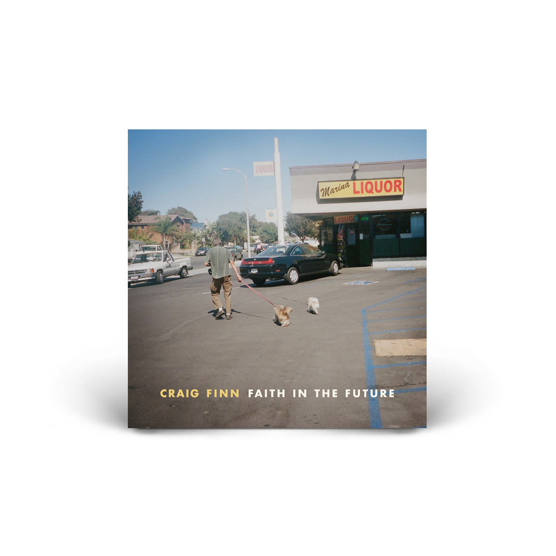 Faith in the Future CD