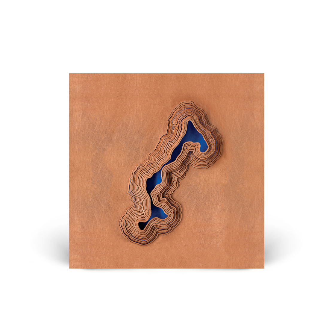 Narrows LP