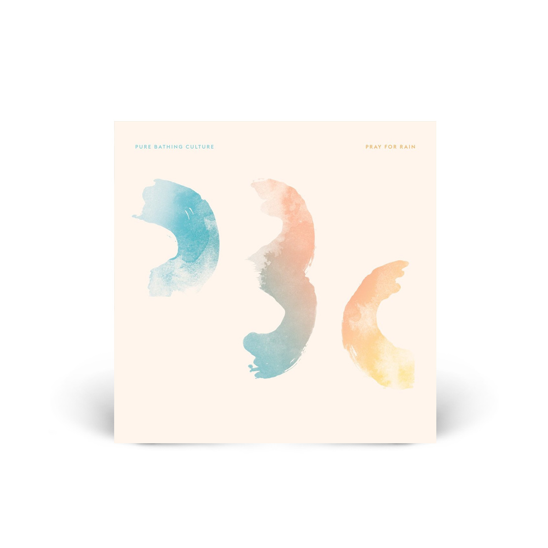 Pray For Rain LP