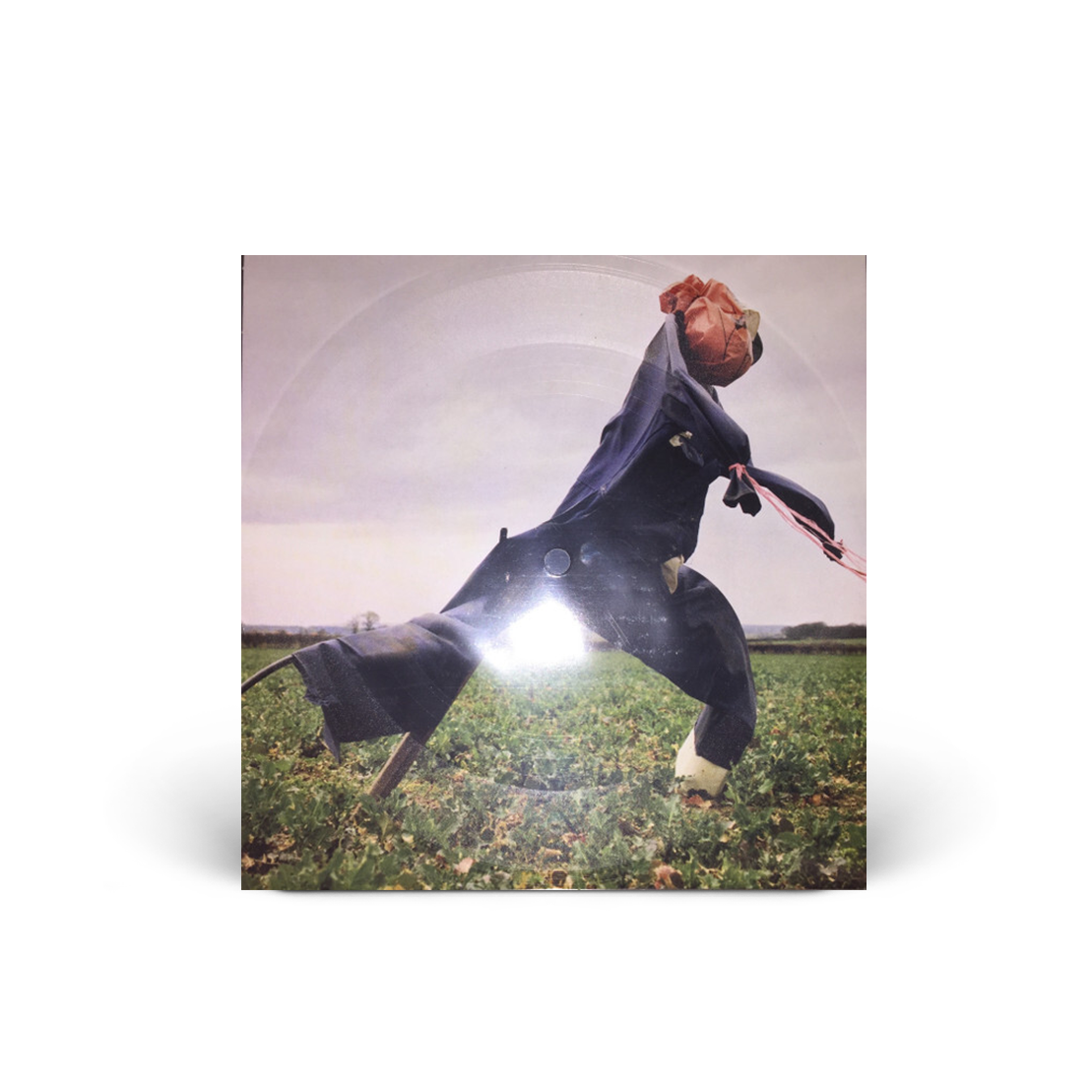 Skipping flexi disc